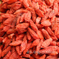 AD secado bayas de goji rojas wolfberries fruta